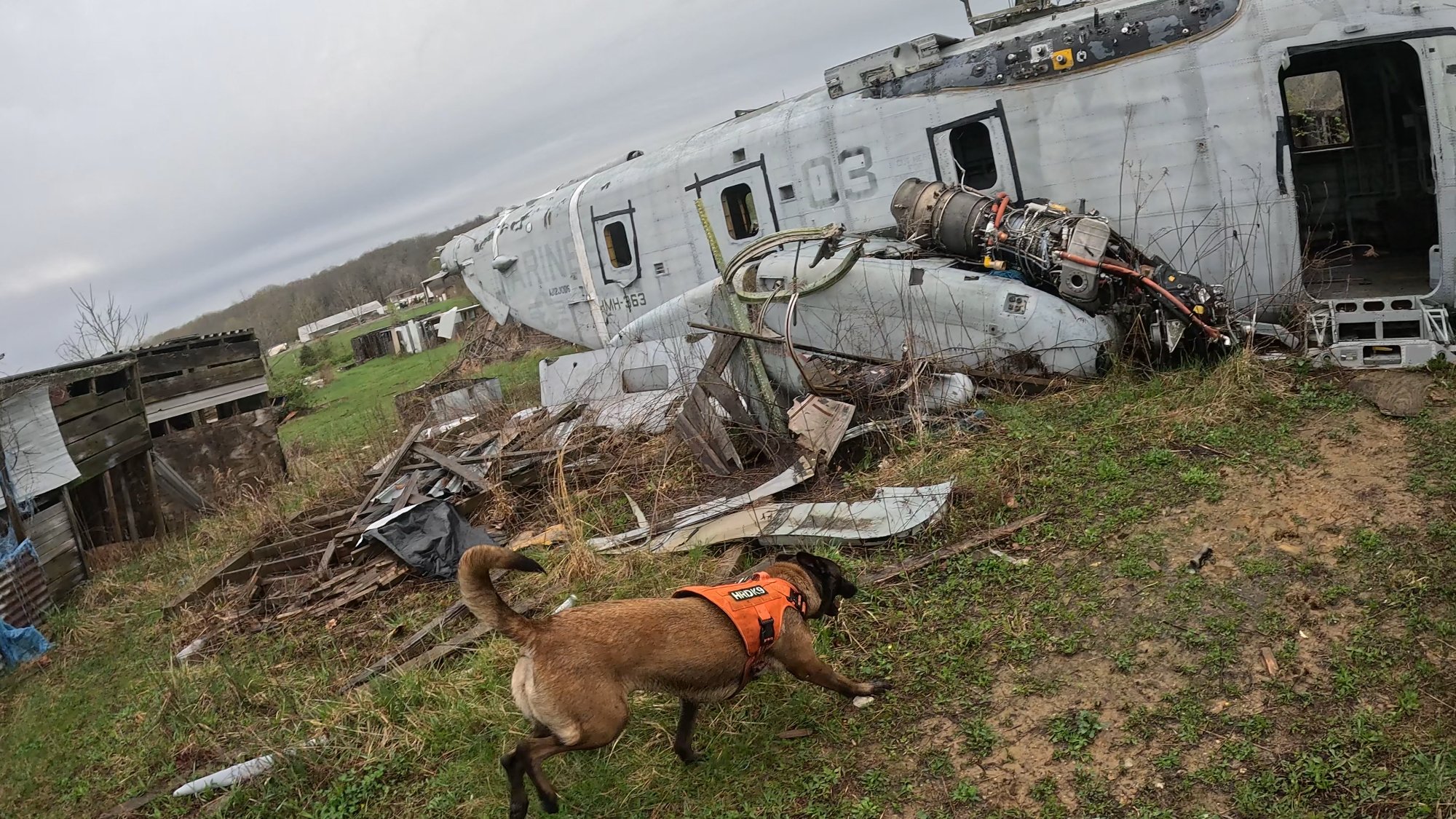 Pathfinder K9 SAR