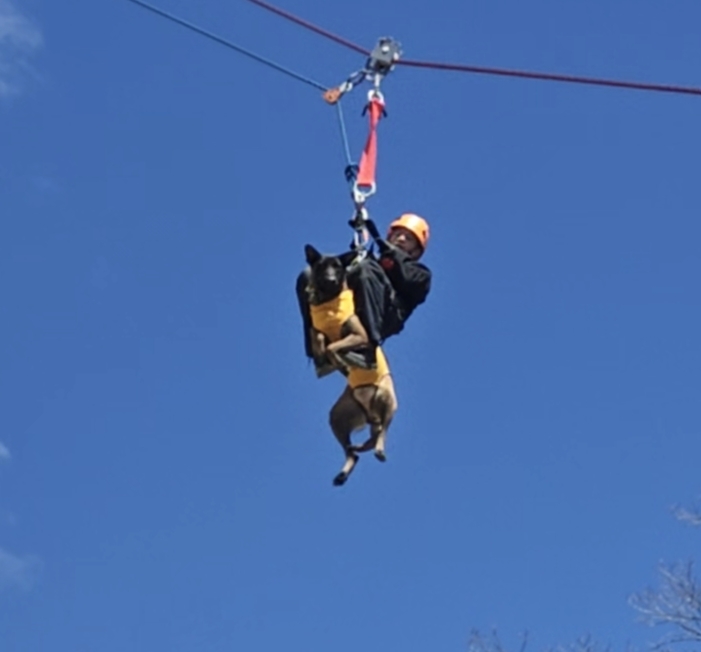 Pathfinder K9 SAR