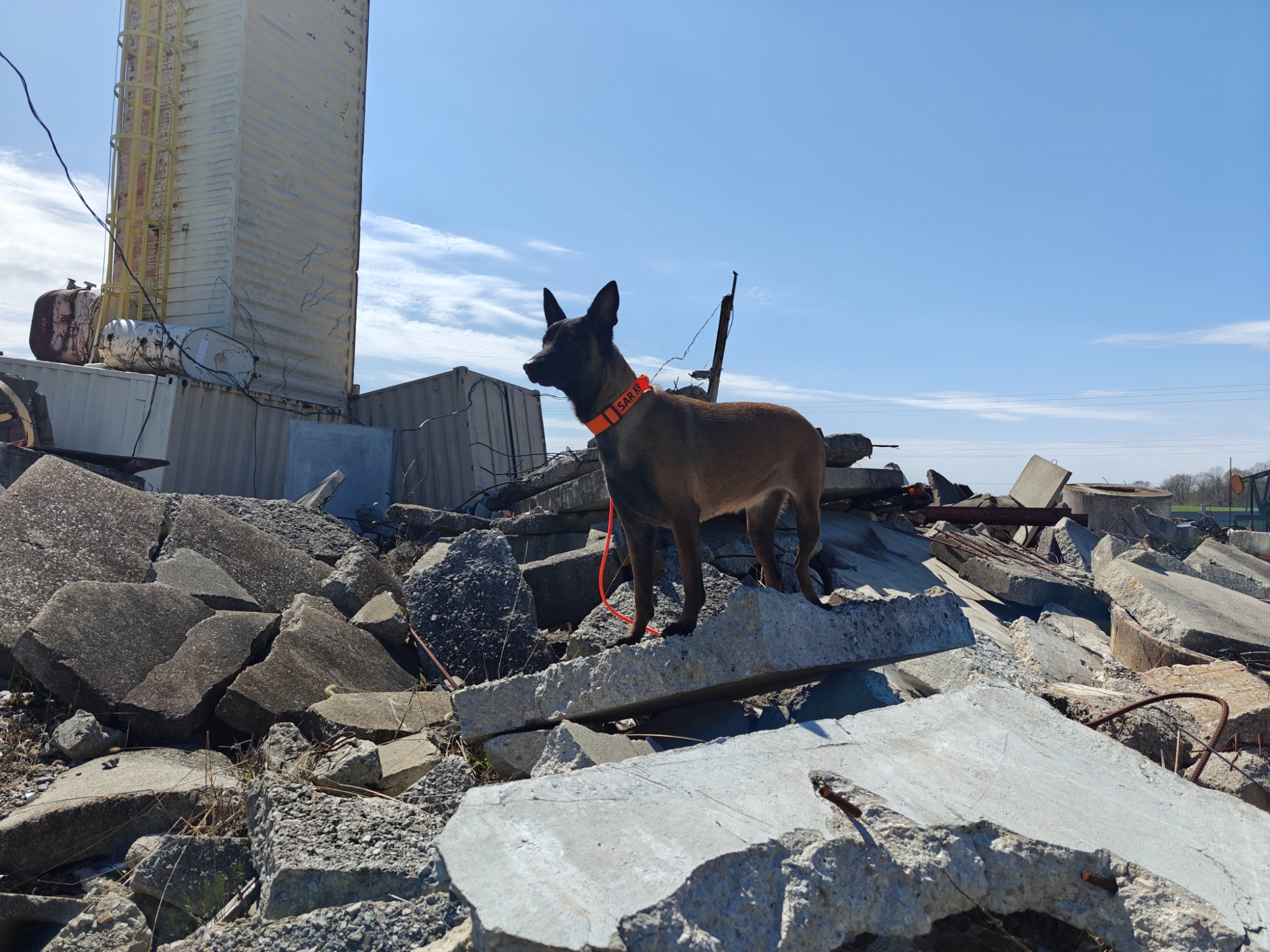 Pathfinder K9 SAR